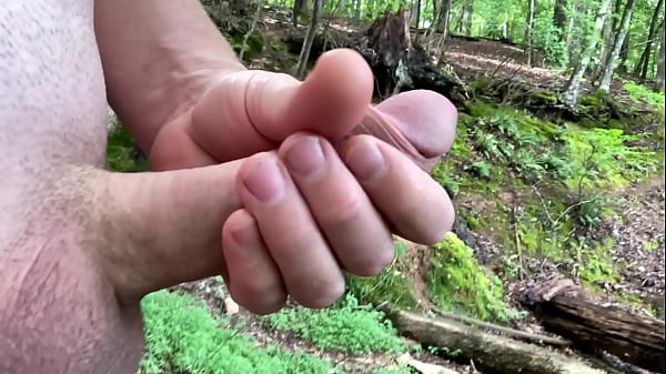 Download Video - 2 deer watching me masturbate