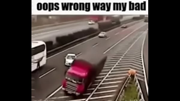 goofy ahh car