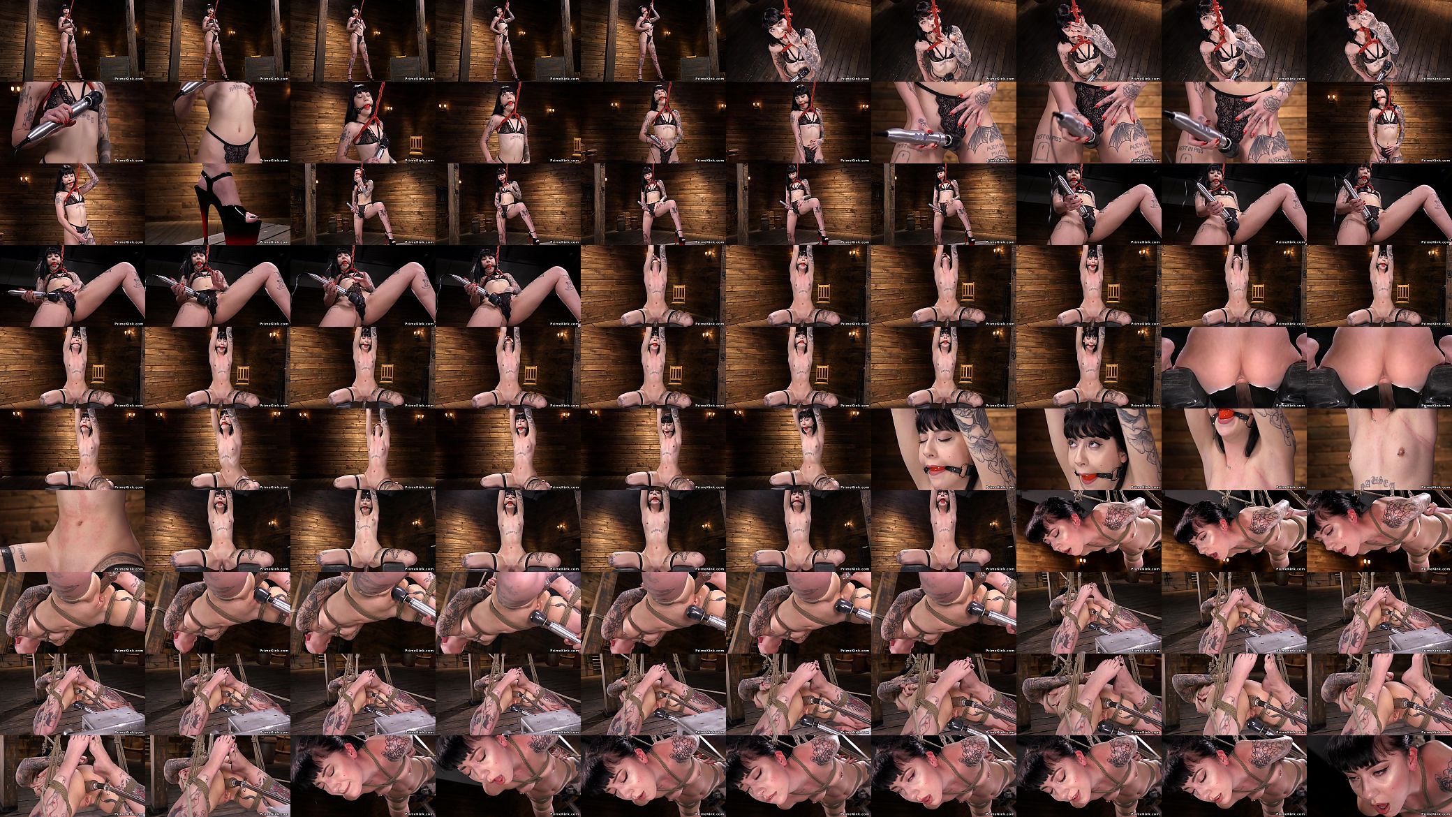 Alt anal slut machine fucked bdsm 预览图