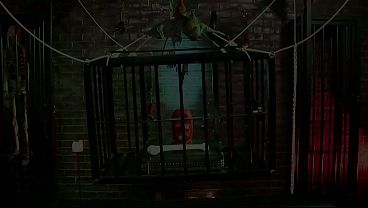 Horror Shop Sees A Lot Of Spit Roasts