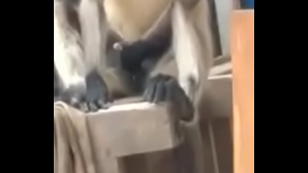 thumb monkey