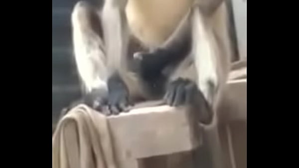 thumb monkey