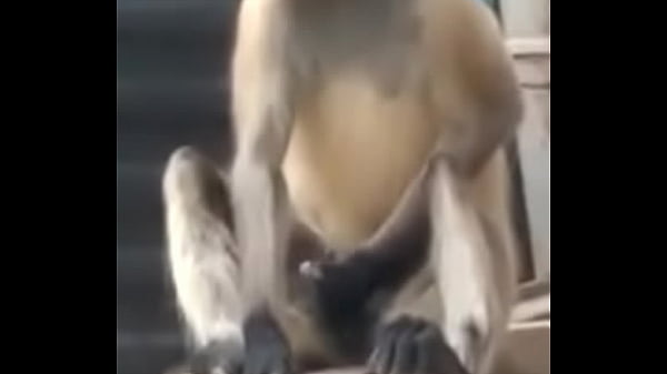 thumb monkey
