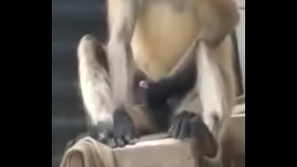 thumb monkey