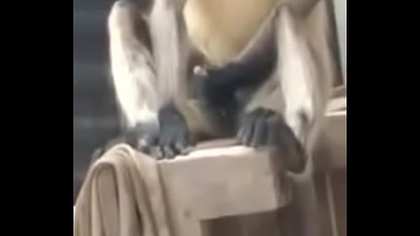 thumb monkey