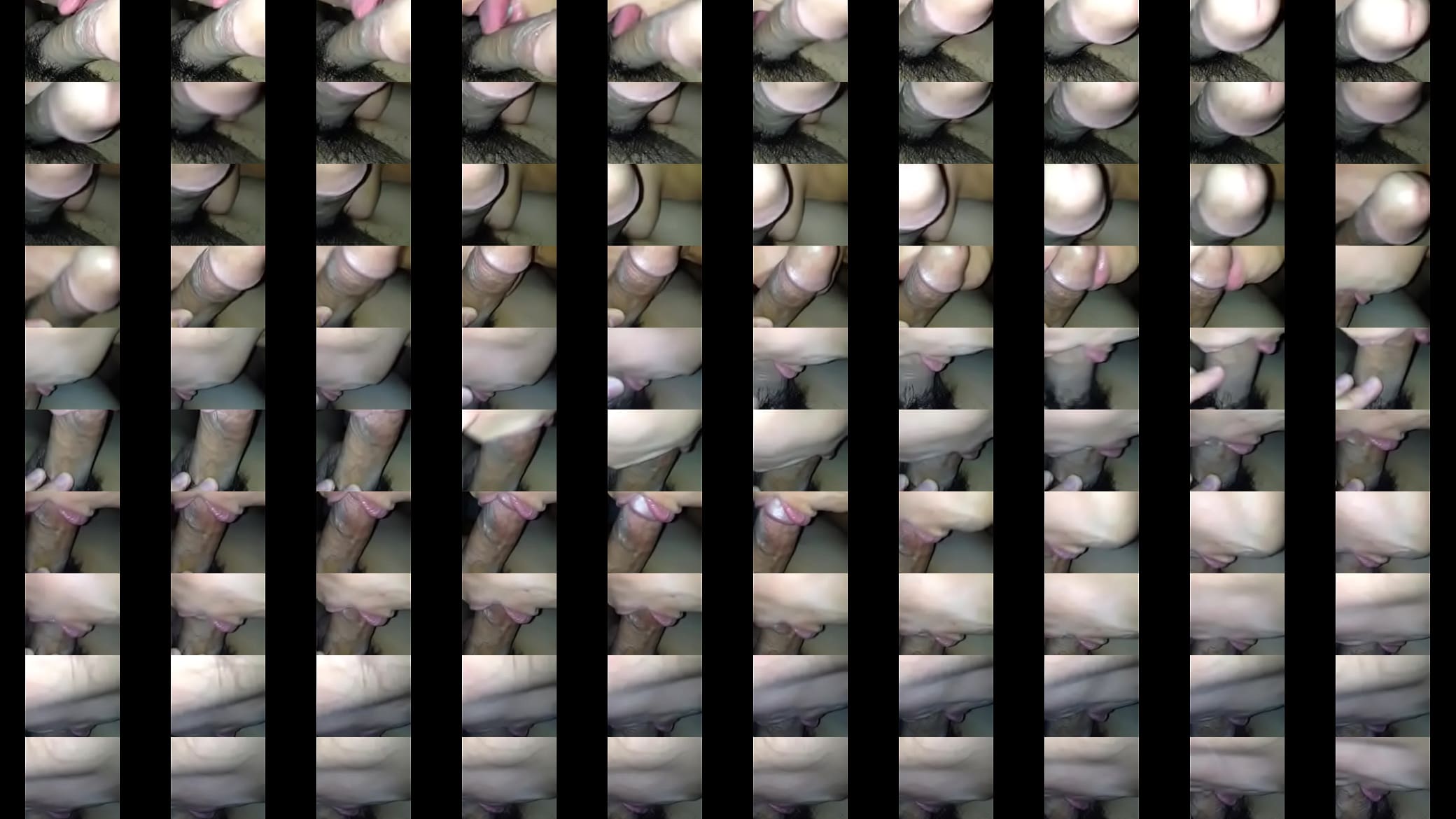 vid sample 预览图