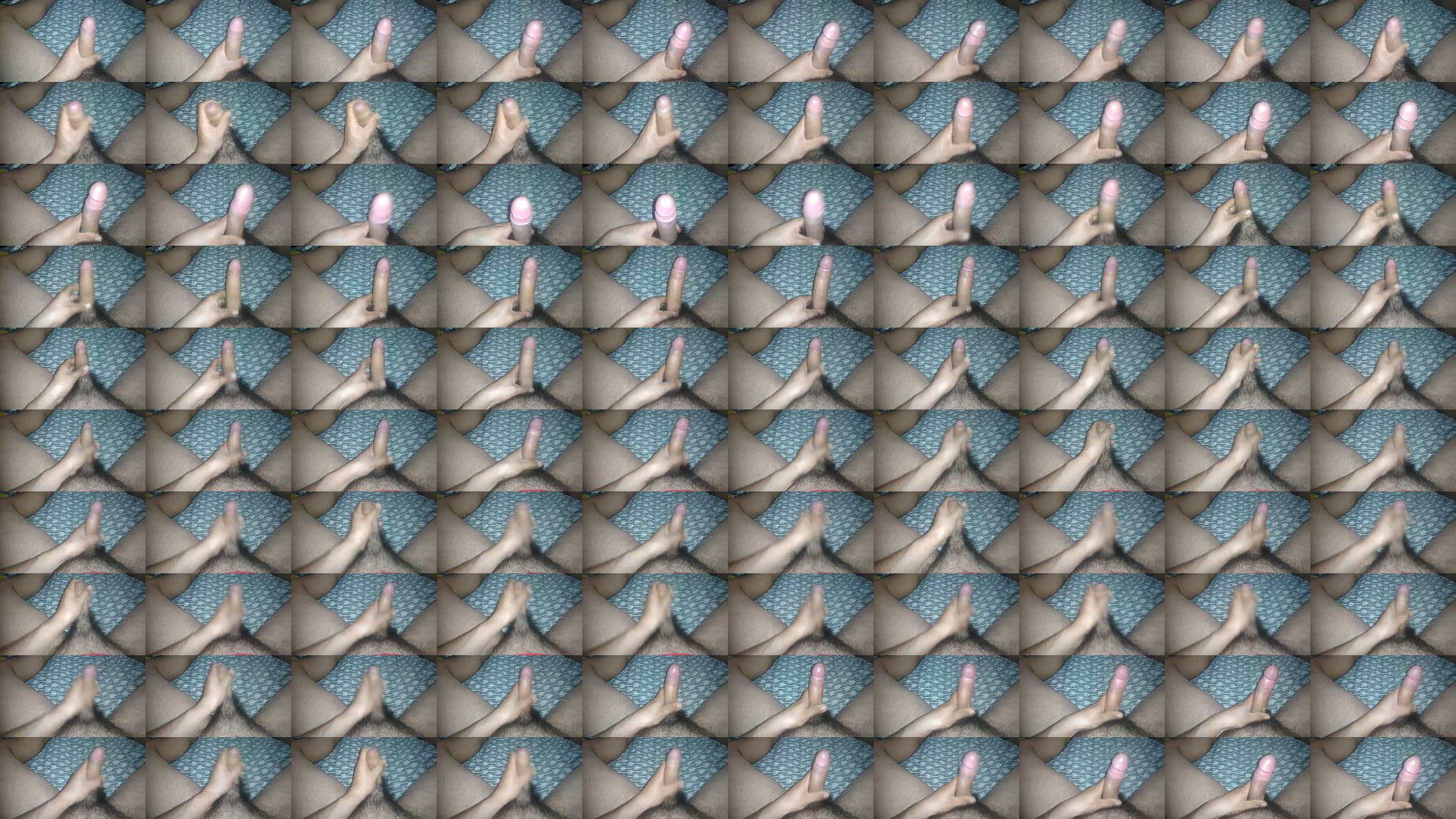 Vi&ntilde;a quilpue 预览图