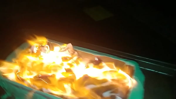 My 2020 Gingerbread Dumpster Fire