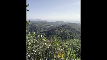 the first to fuck at the high peak in the Guaramiranga-CE mountain range