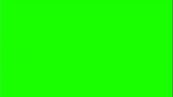 Greenscreen Test