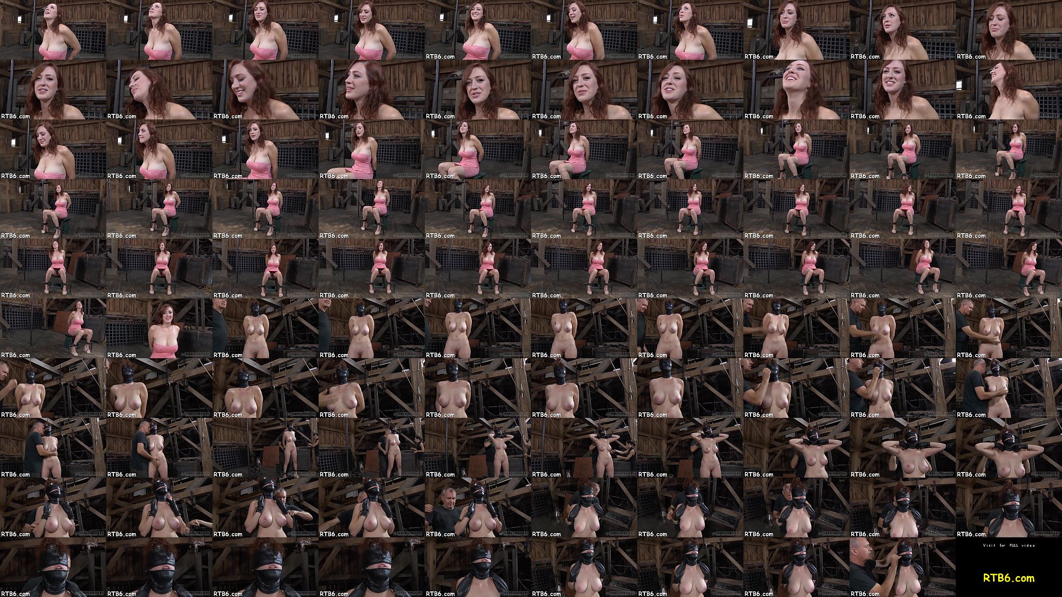 Femdom sadomasochism 预览图