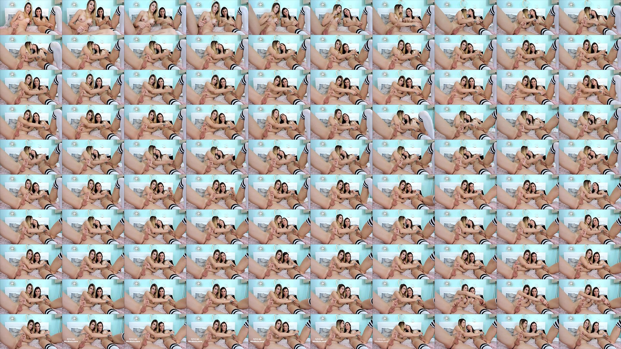 Shemale Duo Stroking Her Cocks 预览图