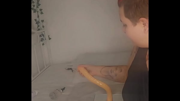 Two eggs in the ass