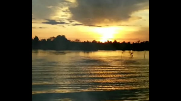 Video xác minh