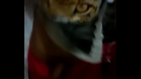 WhatsApp-Video-20160613 (1)