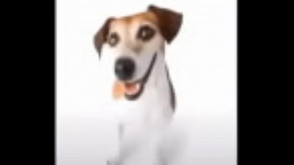 When haces tus momos en XVideos :v