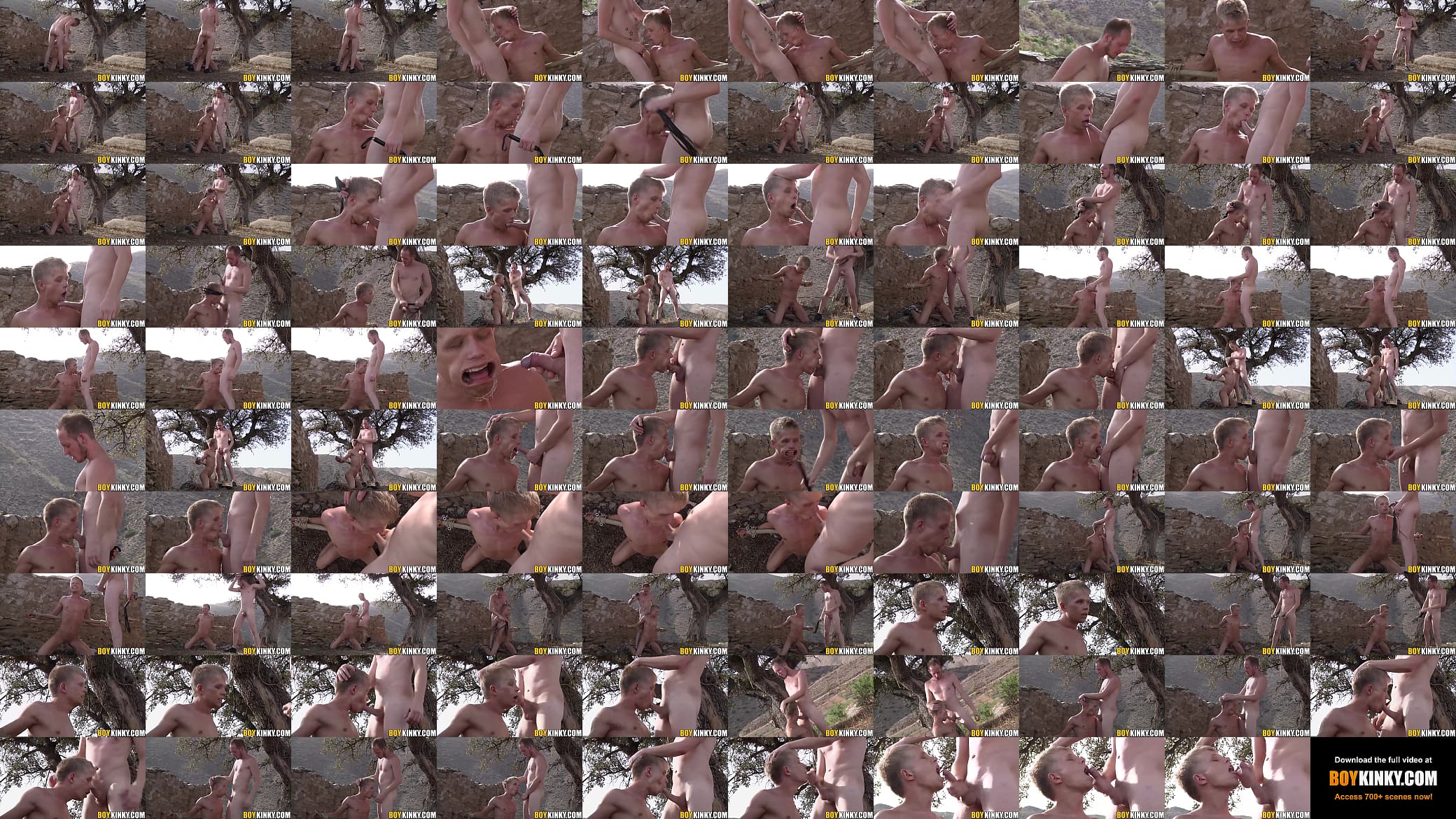 Big dick Sean fucking Chris Jansens dirty mouth for fun 预览图