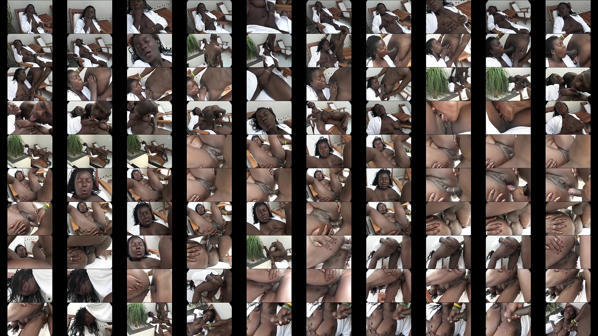 zoccola africana 预览图