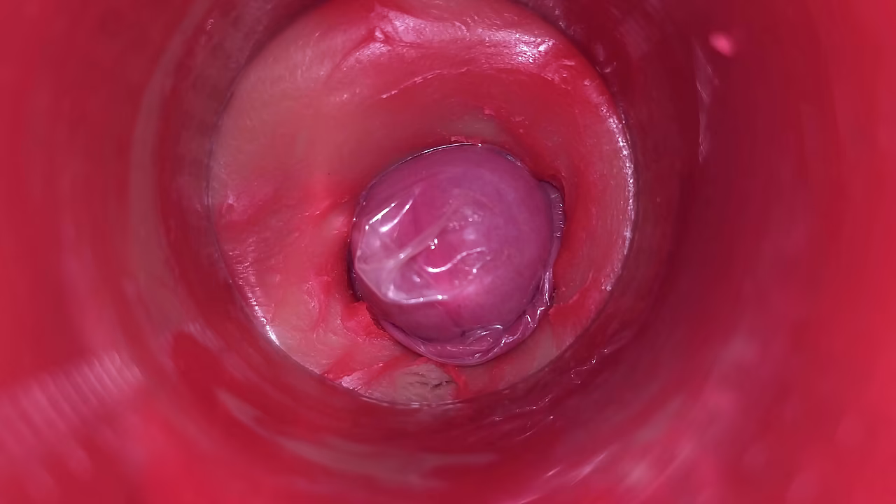 CÁMARA DENTRO DE LA COÑA: ¡SEMEN PODEROSO EN LA COÑA! EL MEJOR ASMR Interno en 4K
                    anal sexy creampie amateur oil solo POV deep throat moaning fetish pussy fucking cum on ass beauty gay cream sex machine big cock cumload real orgasm sex toy bengoli nezuko muchos negros