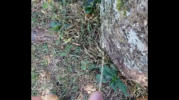 Download Video - Mijada