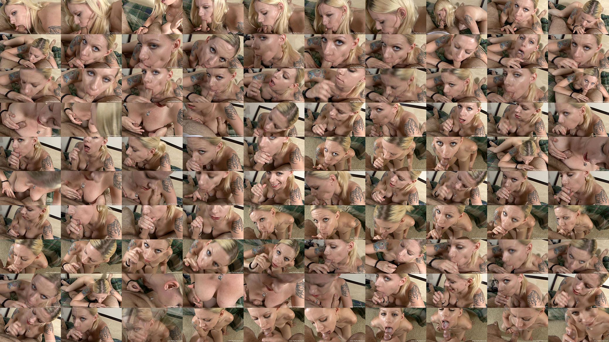 Nerdy Guy Gives MILF A Facial 预览图