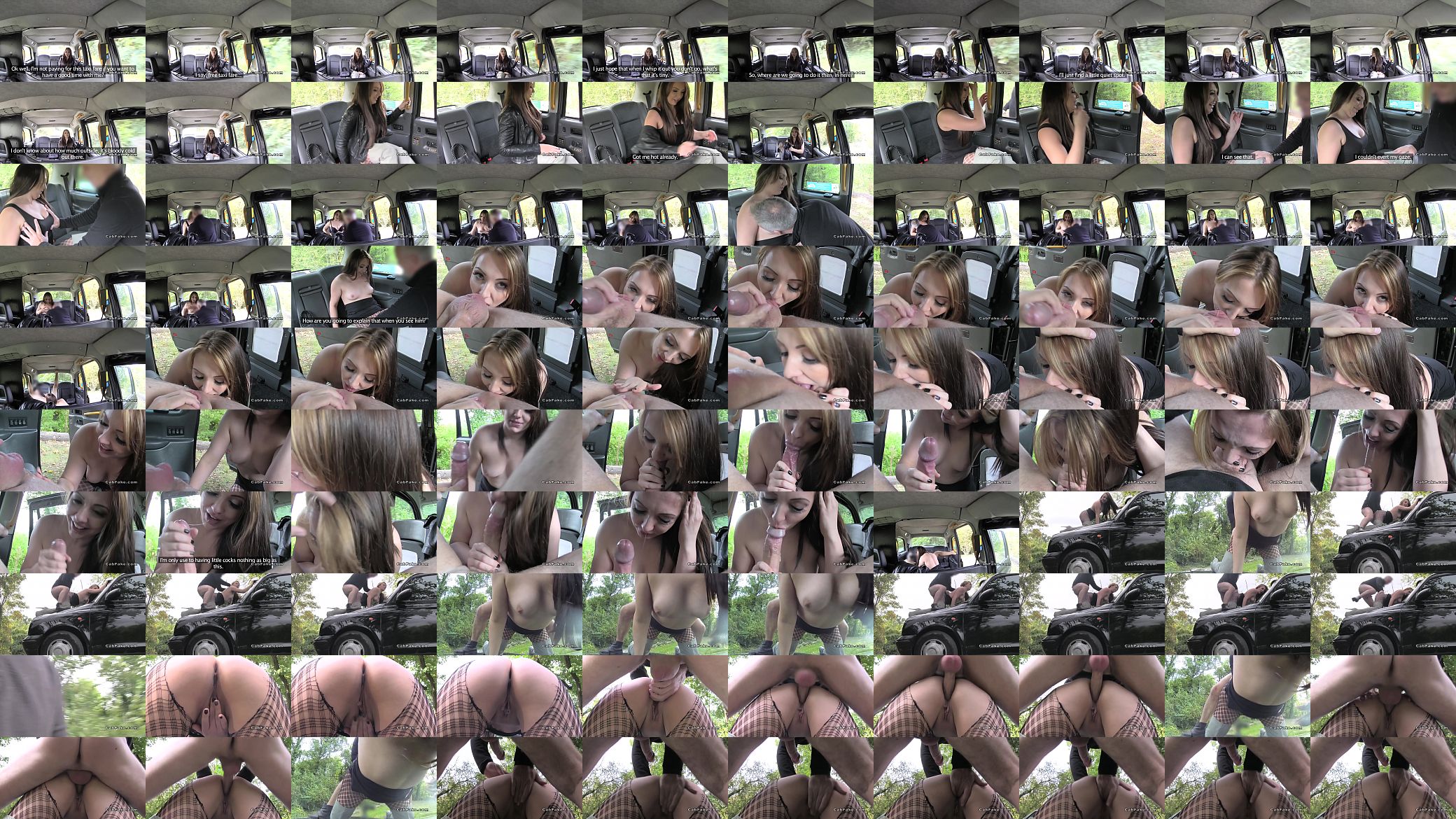 Brunette in fishnets anal bangs in cab 预览图