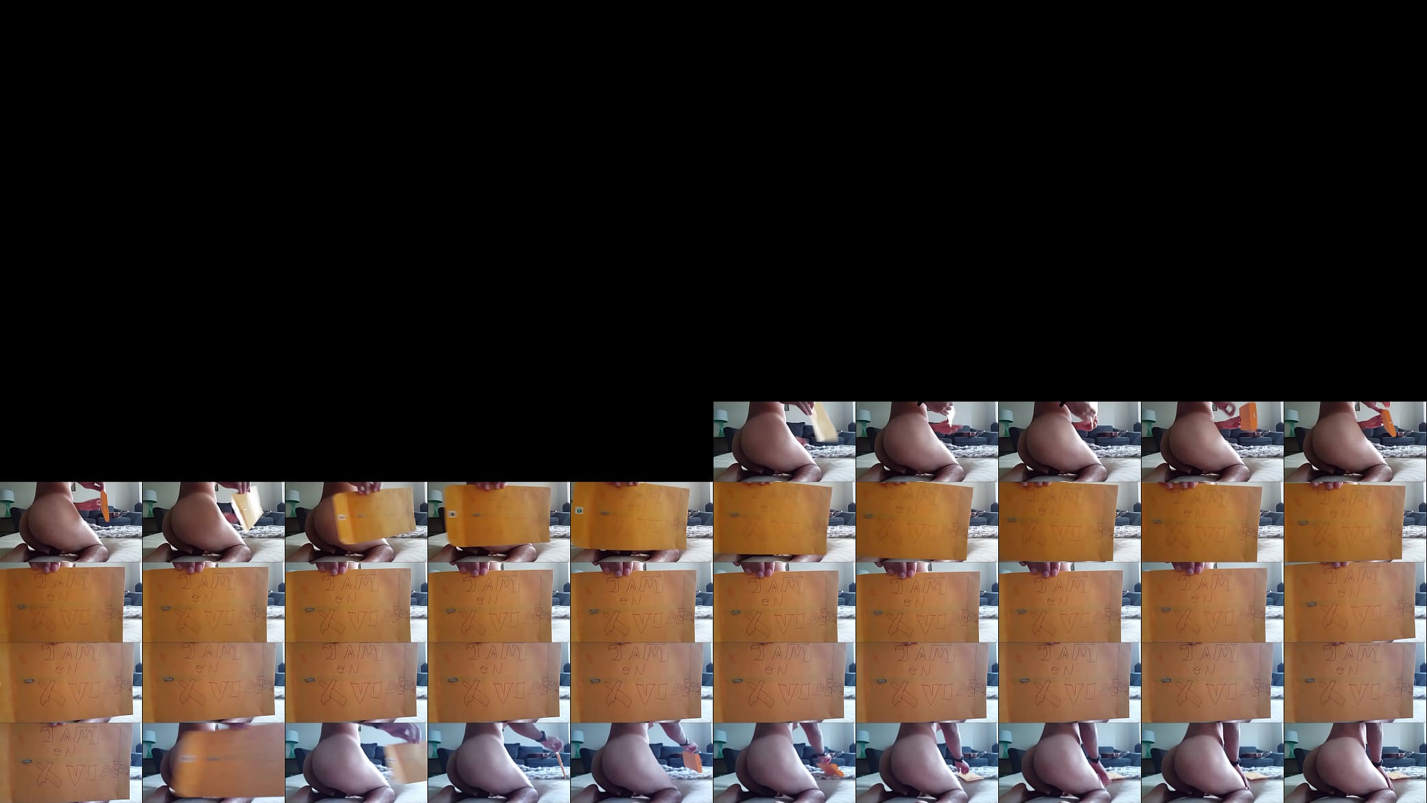 Verification video 预览图