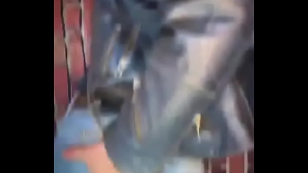    Update #42 (2024 09 19T07:25:48 000Z)