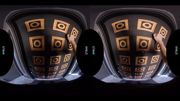 Download Video - VRHUSH Tiny blonde Lily Larimar fucks the delivery guy