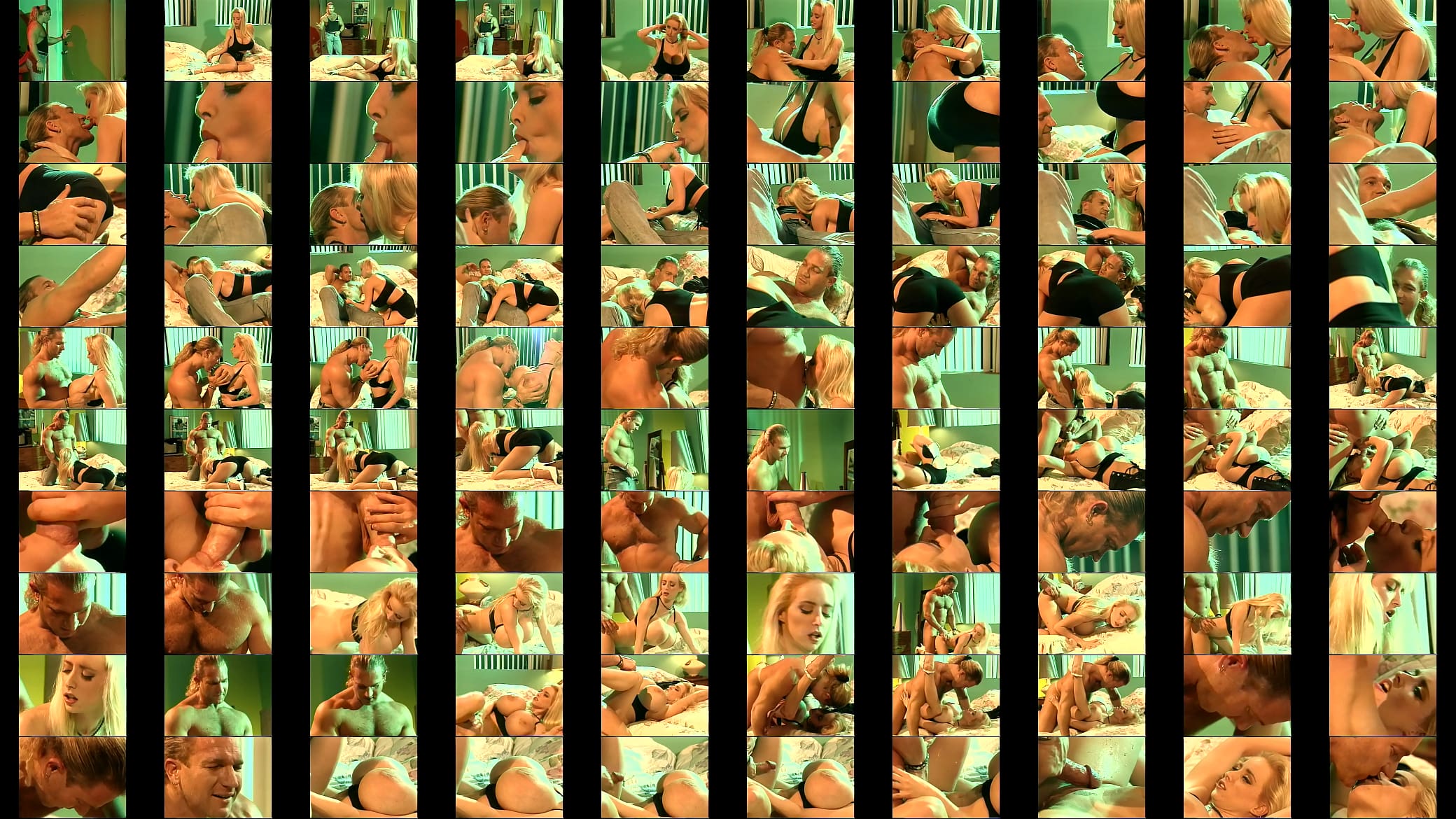 Athletic dude fucks busty blonde Wendy Whoppers hard doggy style and cum on her mouth-watering tits 预览图