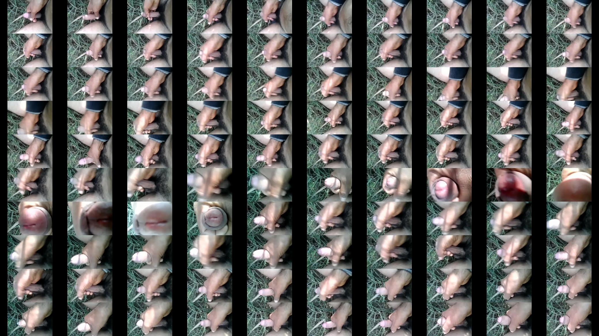 Video0001 预览图