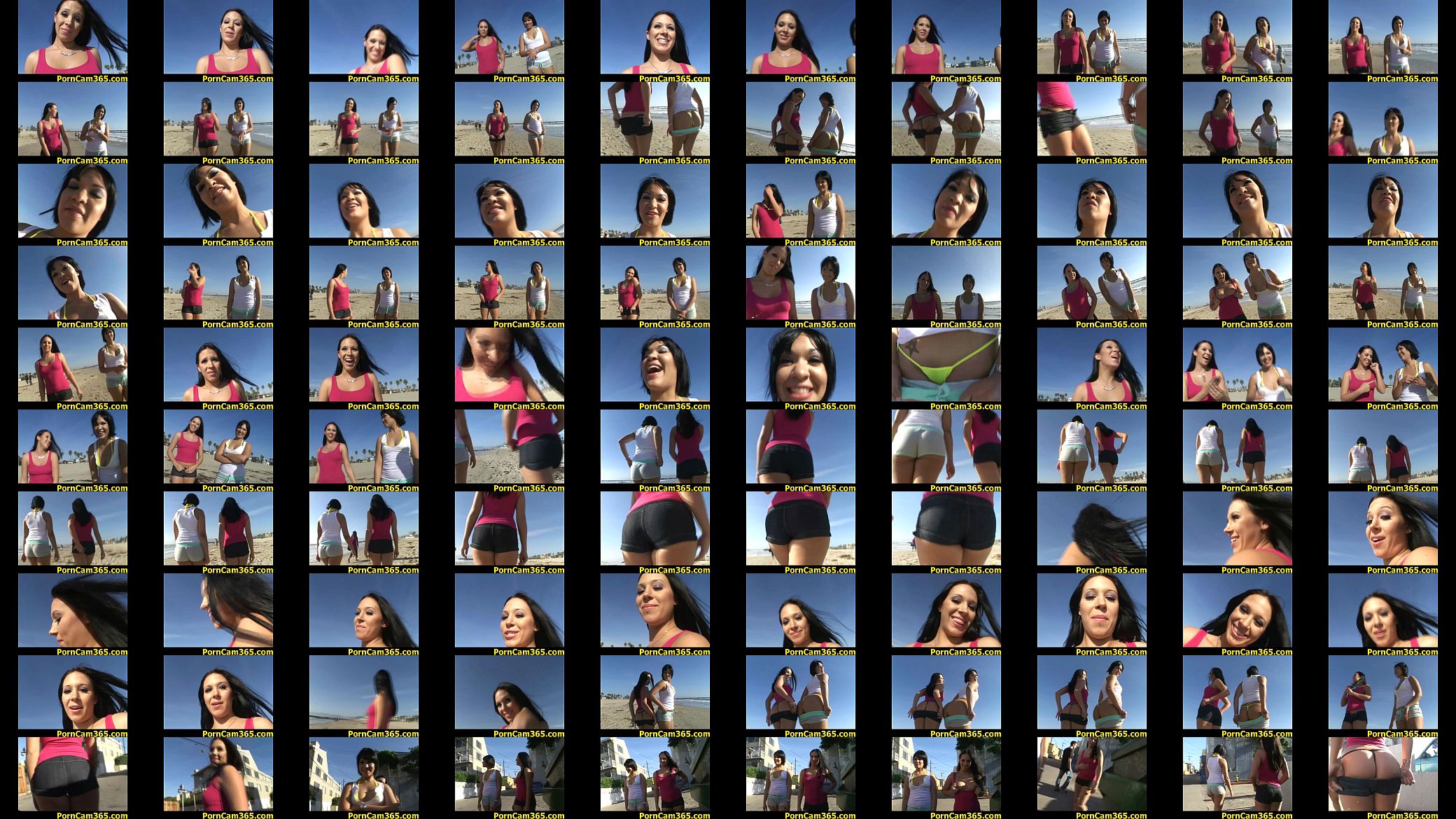aip alexa rosario clip2 01 预览图
