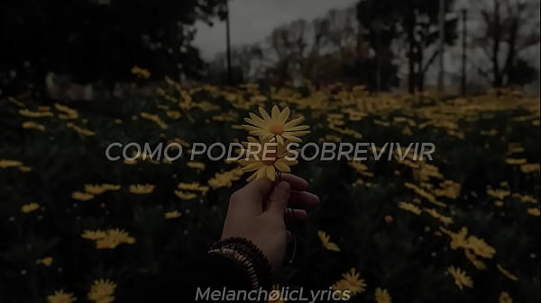 Se me ha perdido un corazon - la unica tropical