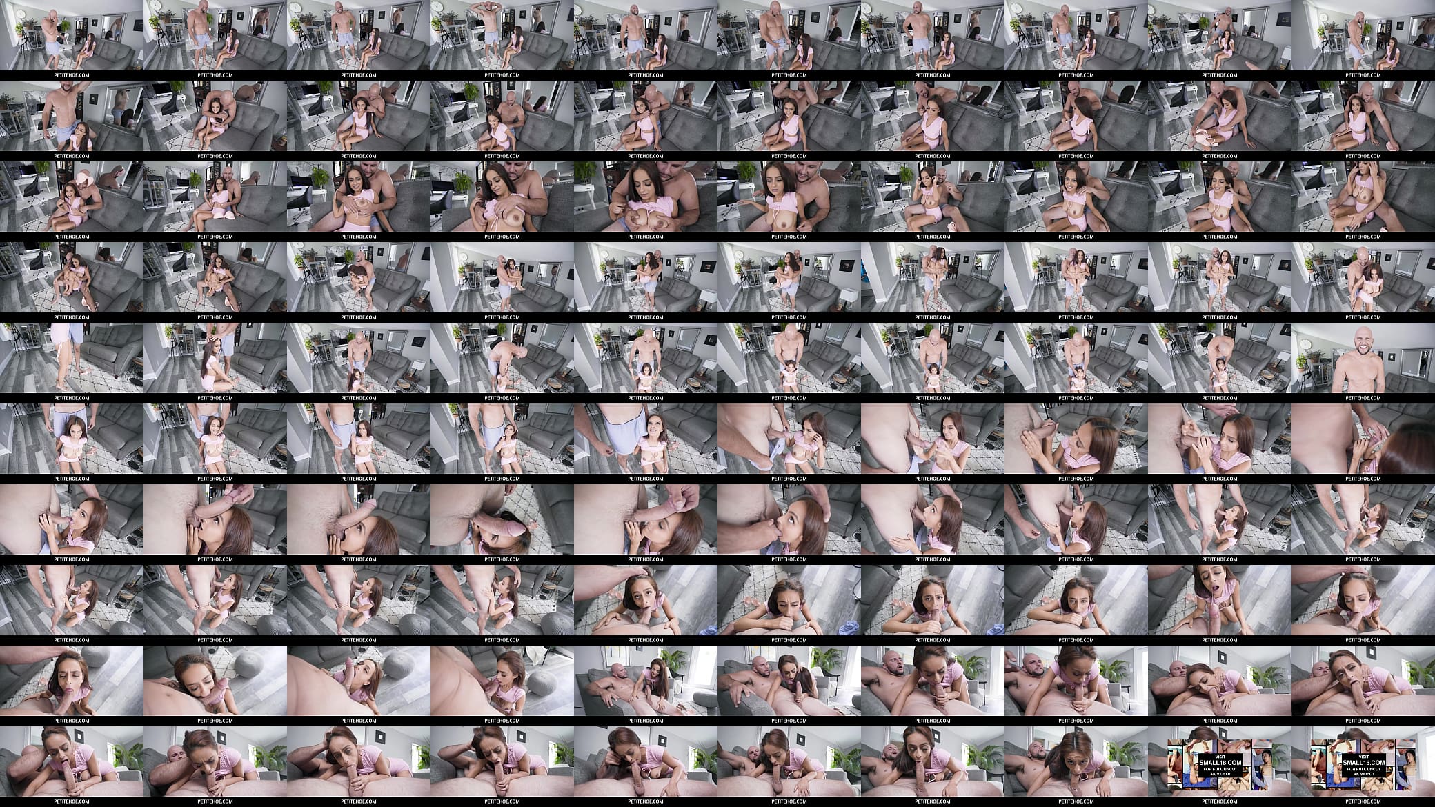 PetiteHoe  -  Busty Petite Nola Exico Fucked Hard 预览图