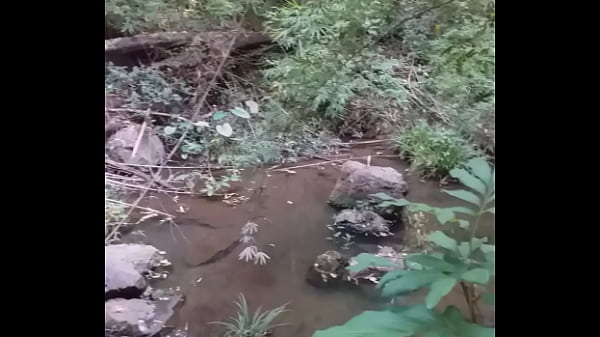 Sex Pot 20 Thumbnail