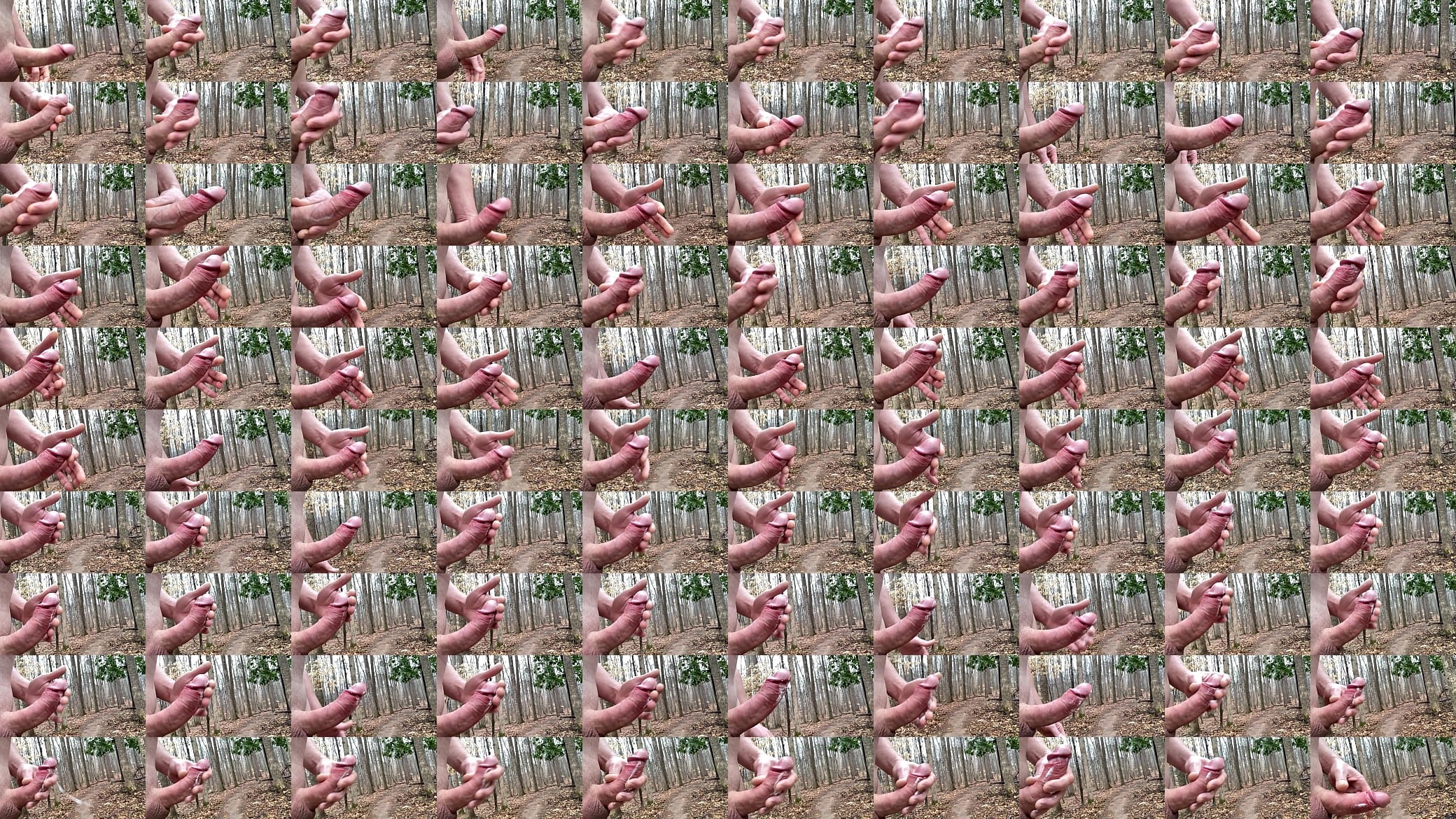 OMG 预览图