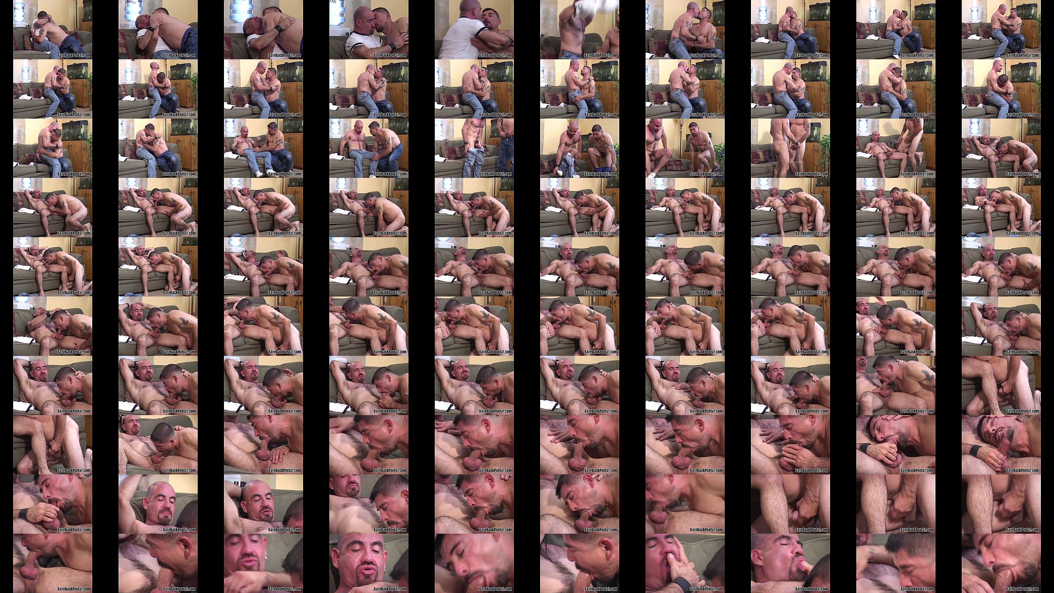 Raw breeding gay bears 预览图