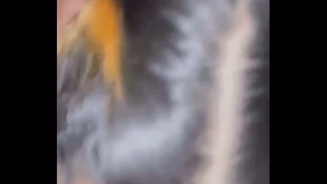 Culona pervertida se lleva a un jovencito a un motel y lo ense&ntilde_a a follar