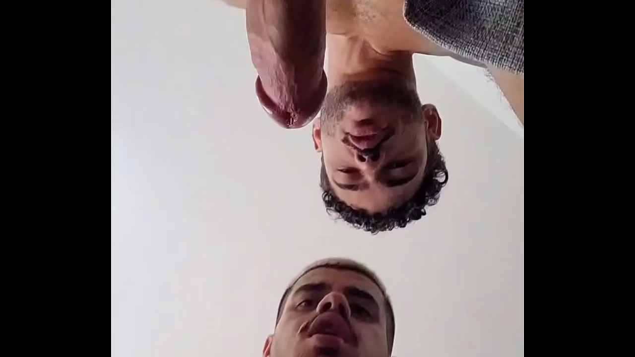 Litros de porra por todo lado