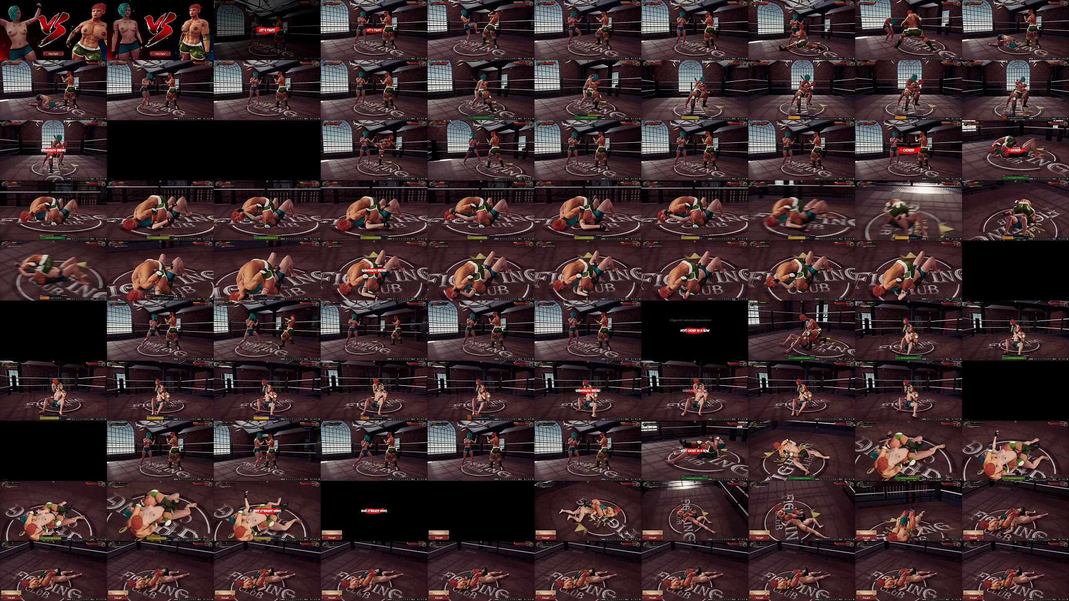 Remiel VS Aine O&#039;Rackie (Naked Fighter 3D) 预览图