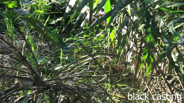 Farmers Caught in the bush fucking