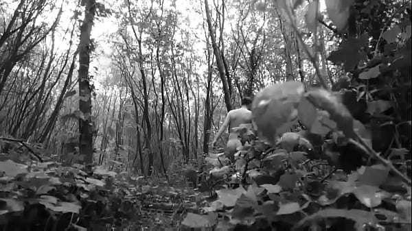 Download Video - A Nice Walk In The Wood And A Play
