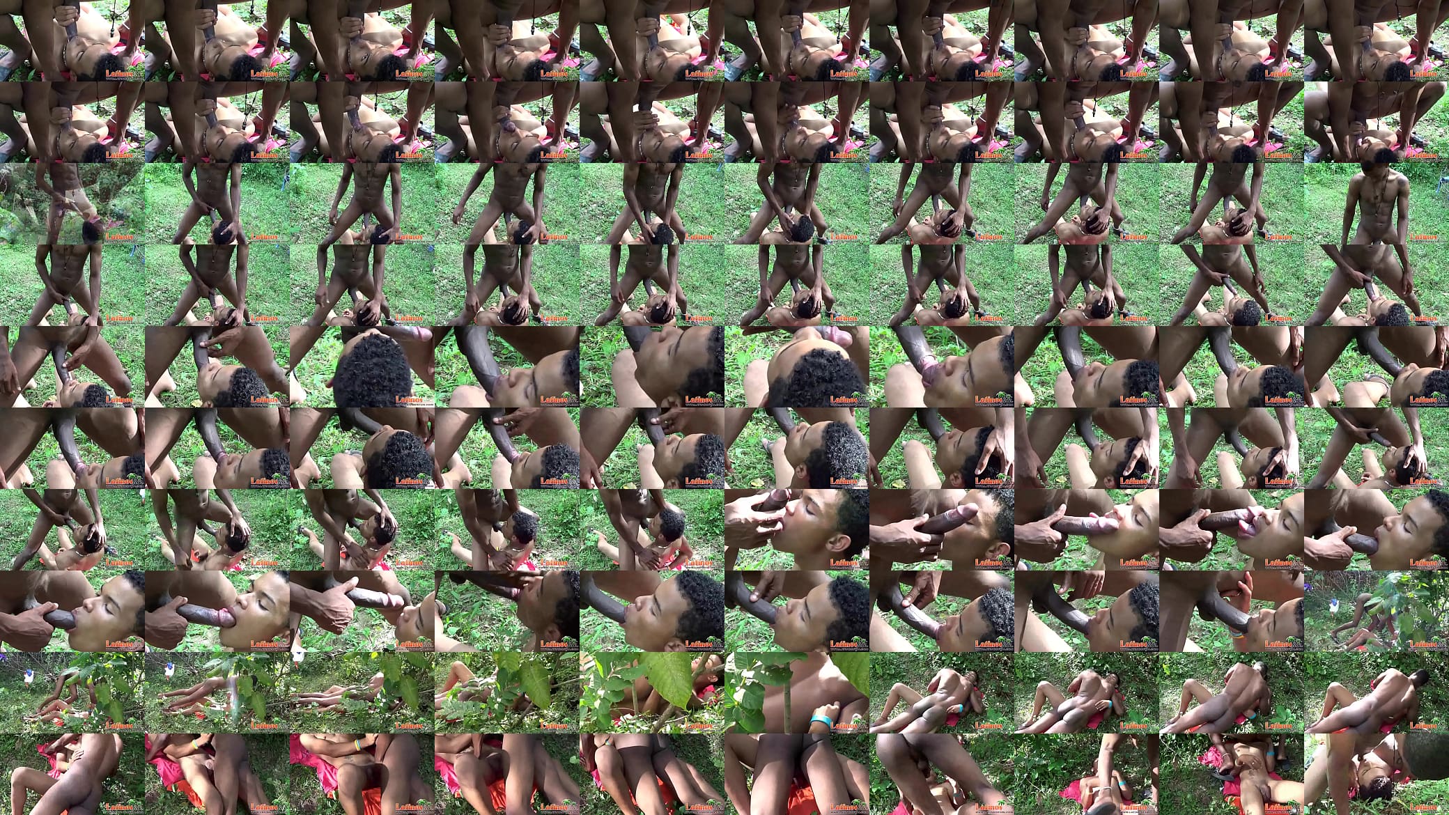 Naked Latino twink blowing his buddy in the woods 预览图