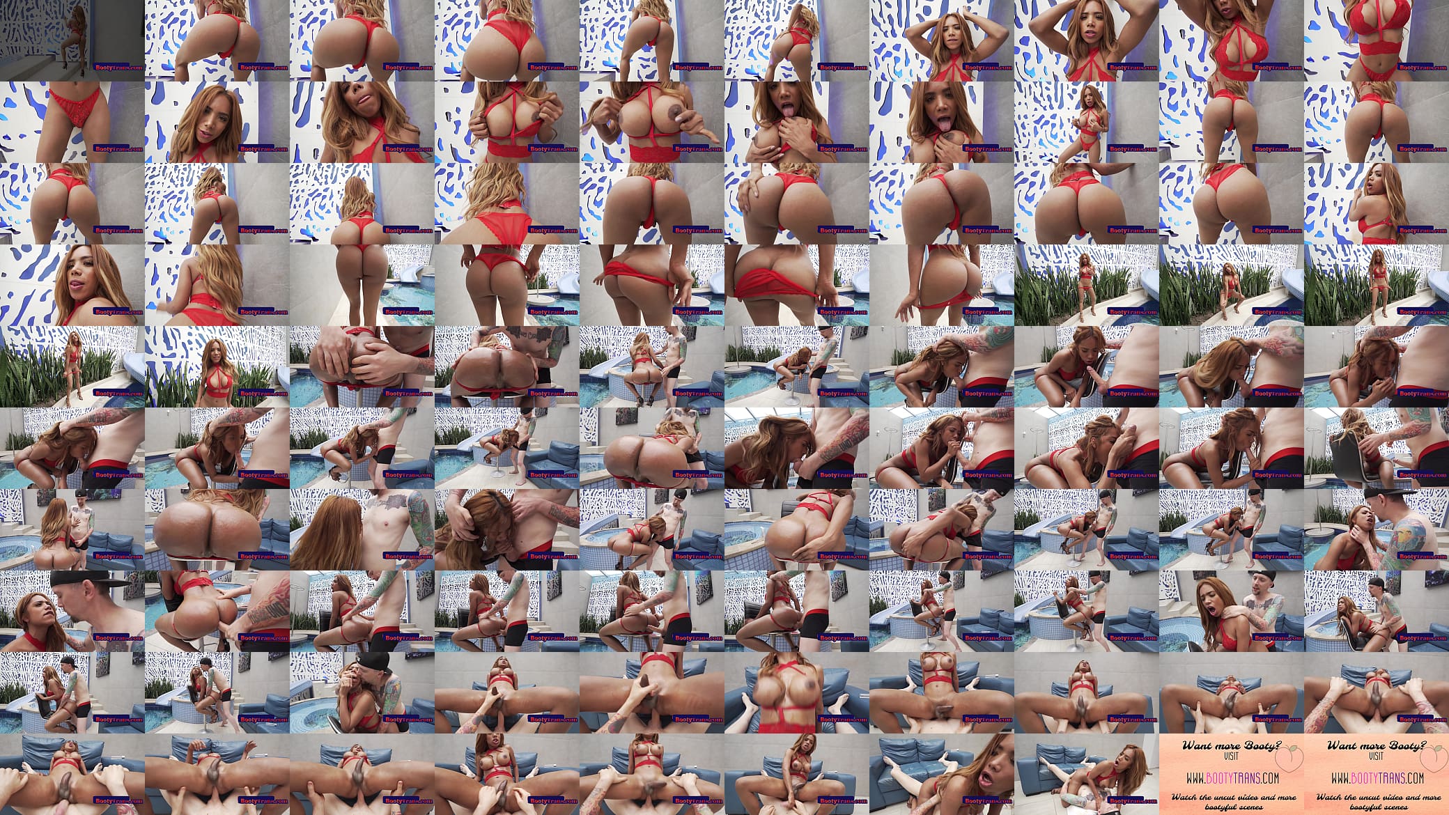 Trans Latin beauty barebacked after tease and blowjob 预览图