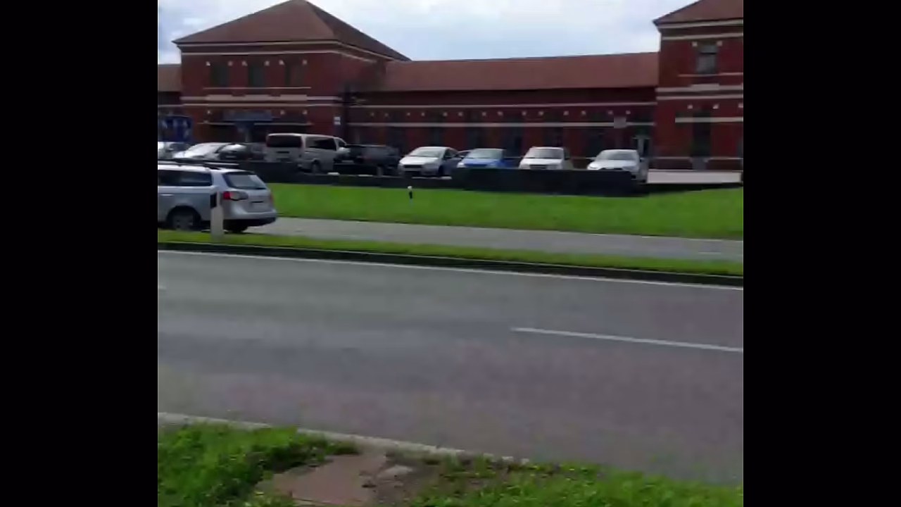 German Prostitute Milf Sandra show her tits cardriver Summer 2025