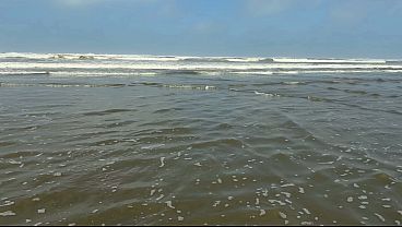 On Guarujá Beach we found a prostitute in the middle of the sea! And we called her over to fuck her right there in public! She had a pink pussy.