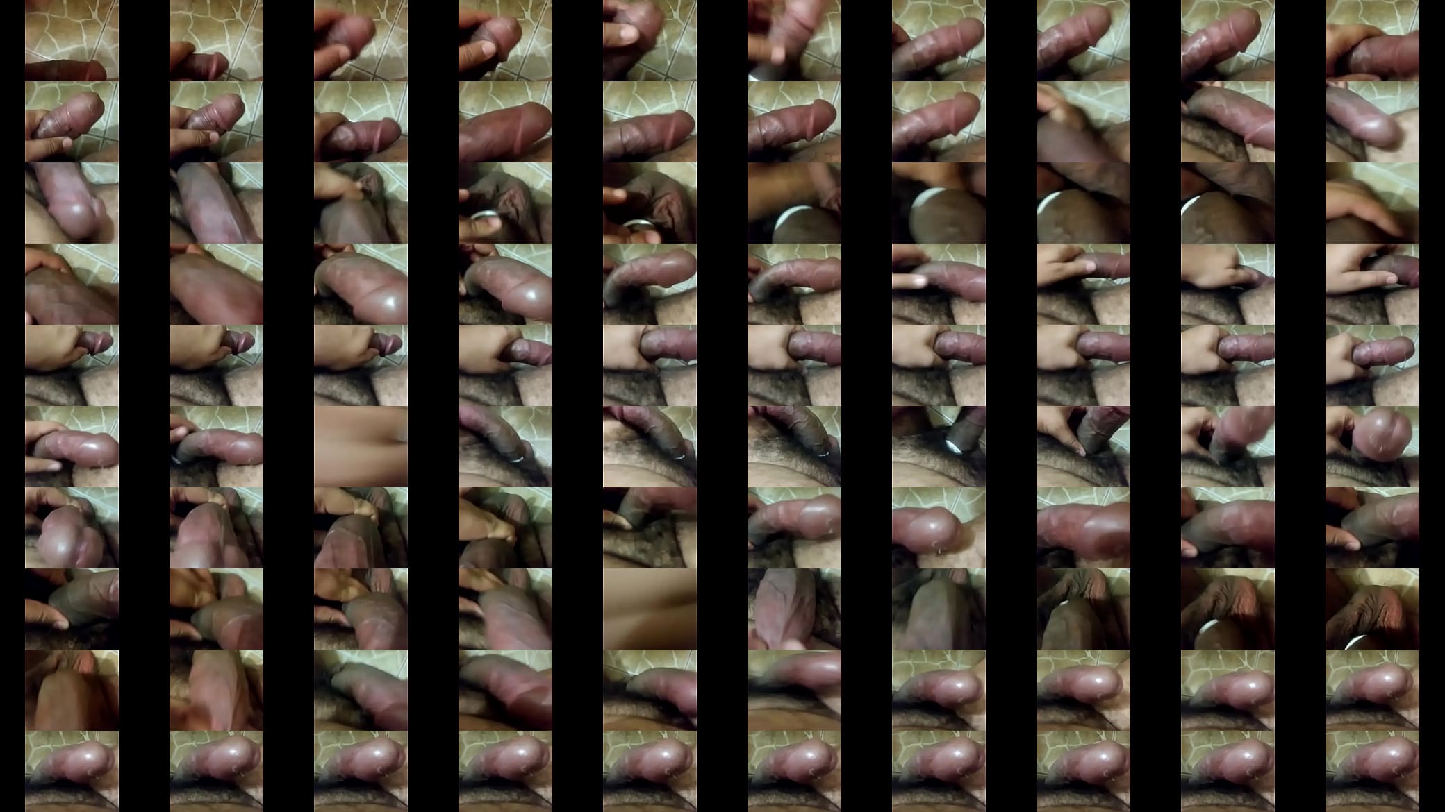 Pene cabezon ecuador 预览图