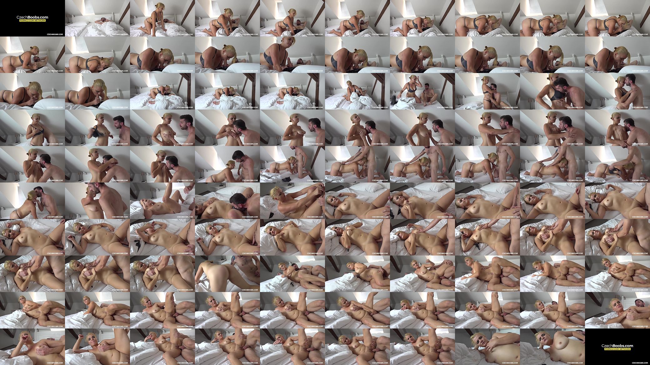 Nice titted babe gets her cunt crammed 预览图