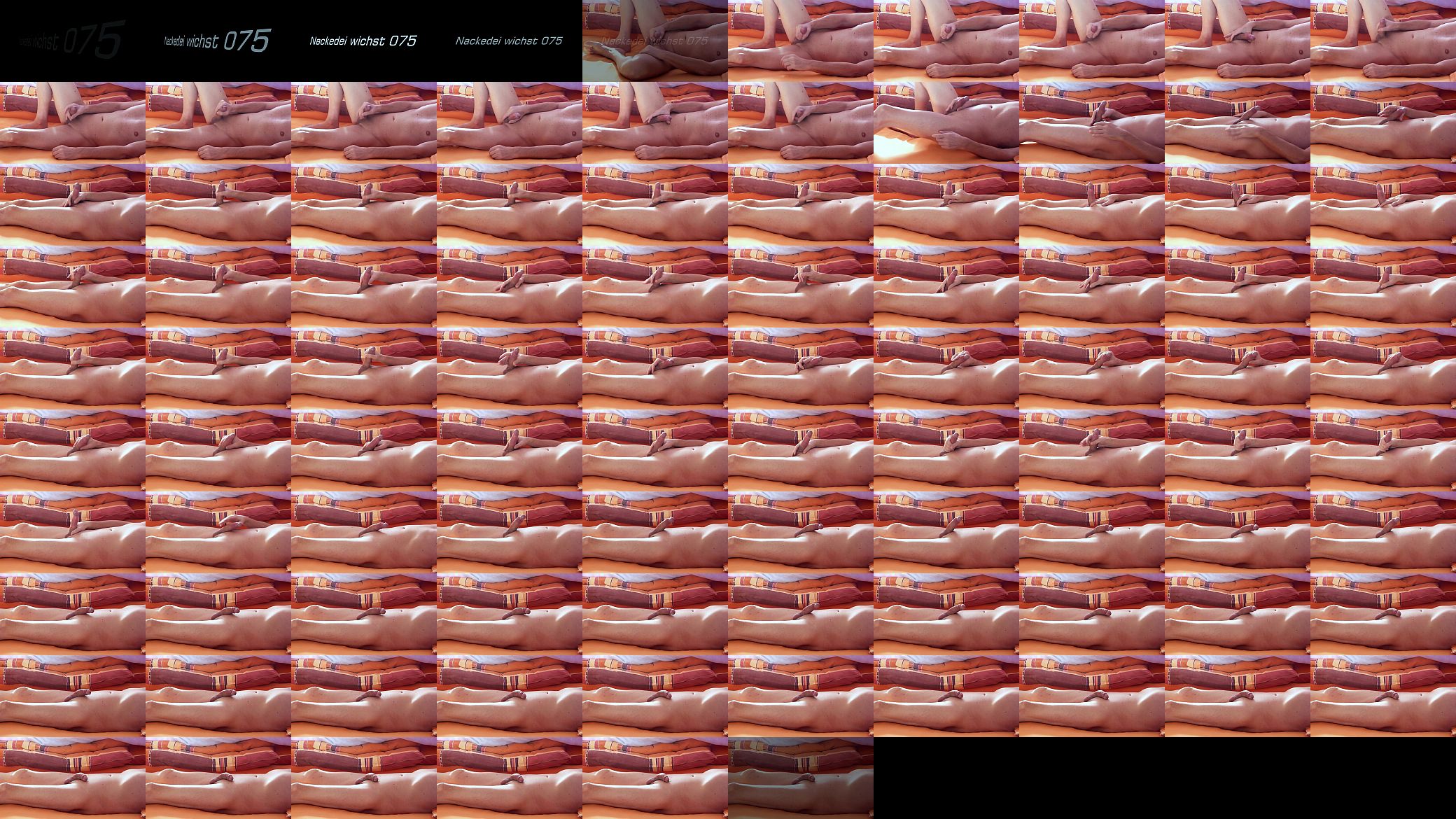 Nackedei wichst 075 预览图