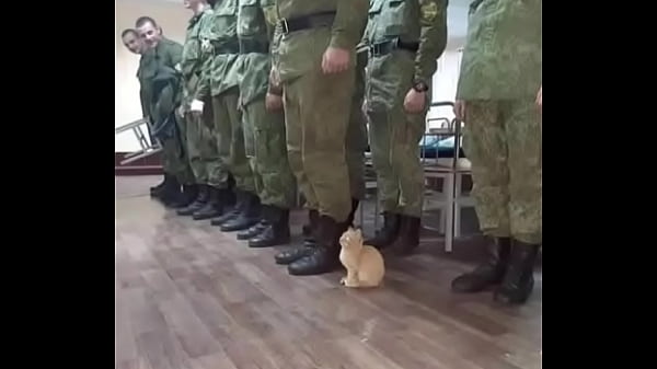 Memes para relajarse